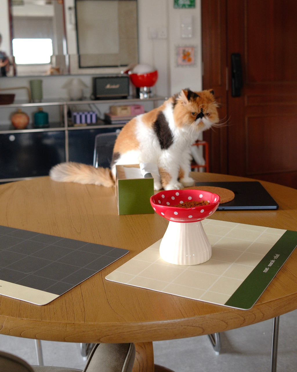 Everyday Relatable Waterproof Placemat