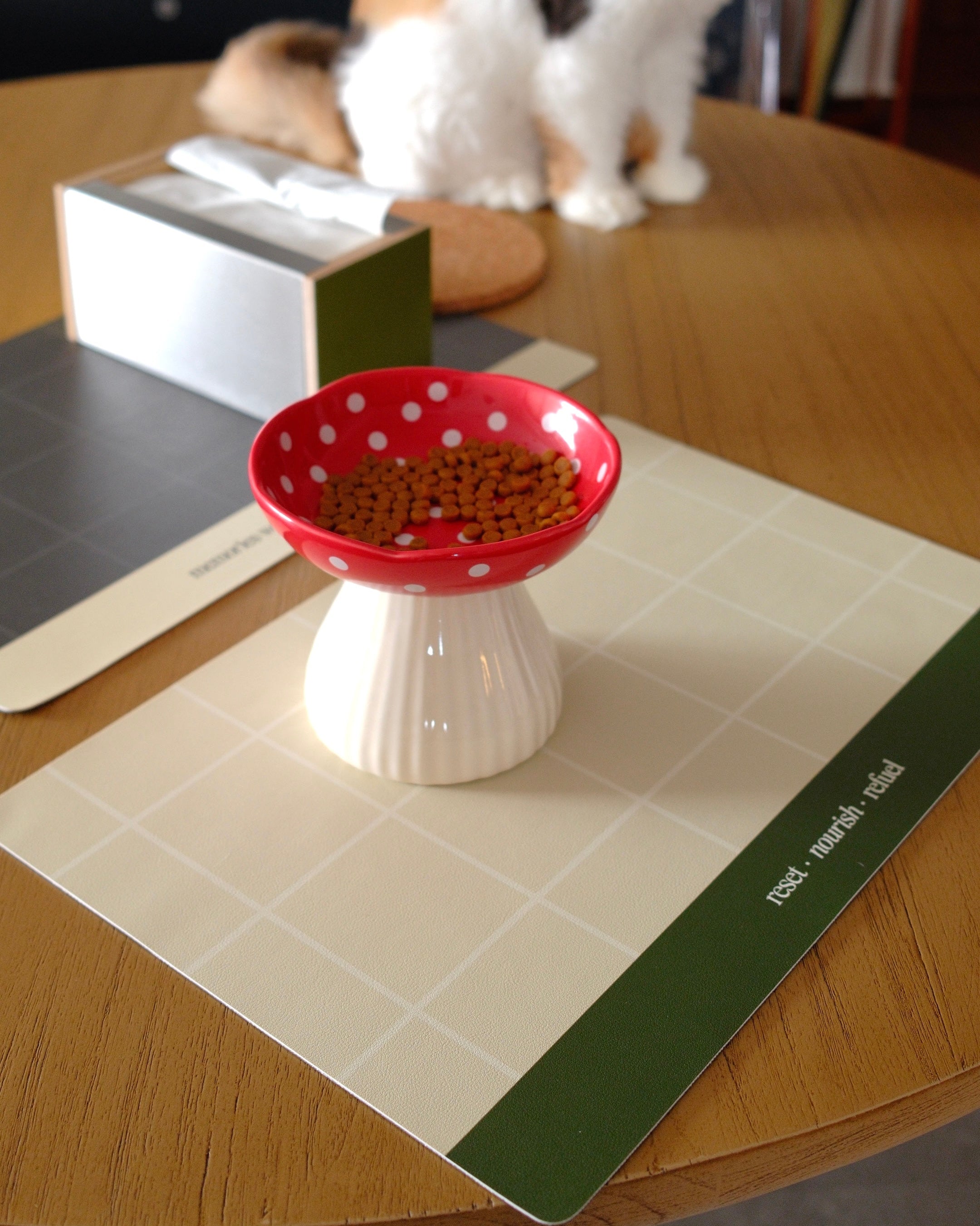 Everyday Relatable Waterproof Placemat